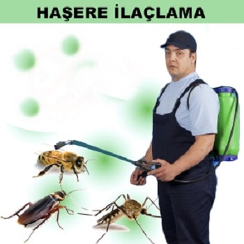 Sorgun Böcek İlaçlama